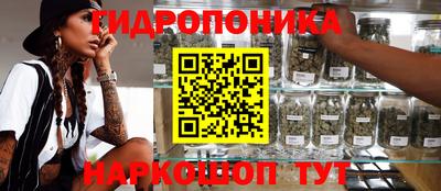 PSILOCYBIN Усть-Илимск