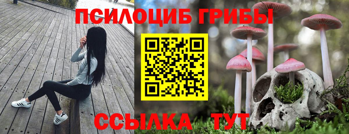 Псилоцибиновые грибы ЛСД Муравленко